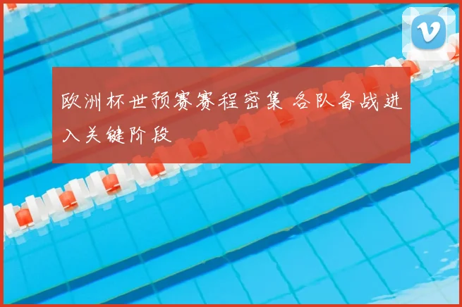 欧洲杯世预赛赛程密集 各队备战进入关键阶段